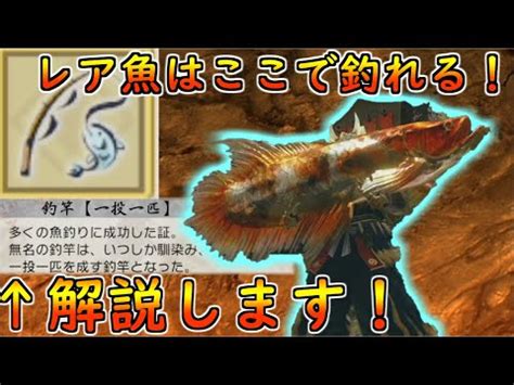 小金魚|【サンブレイク】小金魚の入手方法｜モンハンライズ攻略レシ